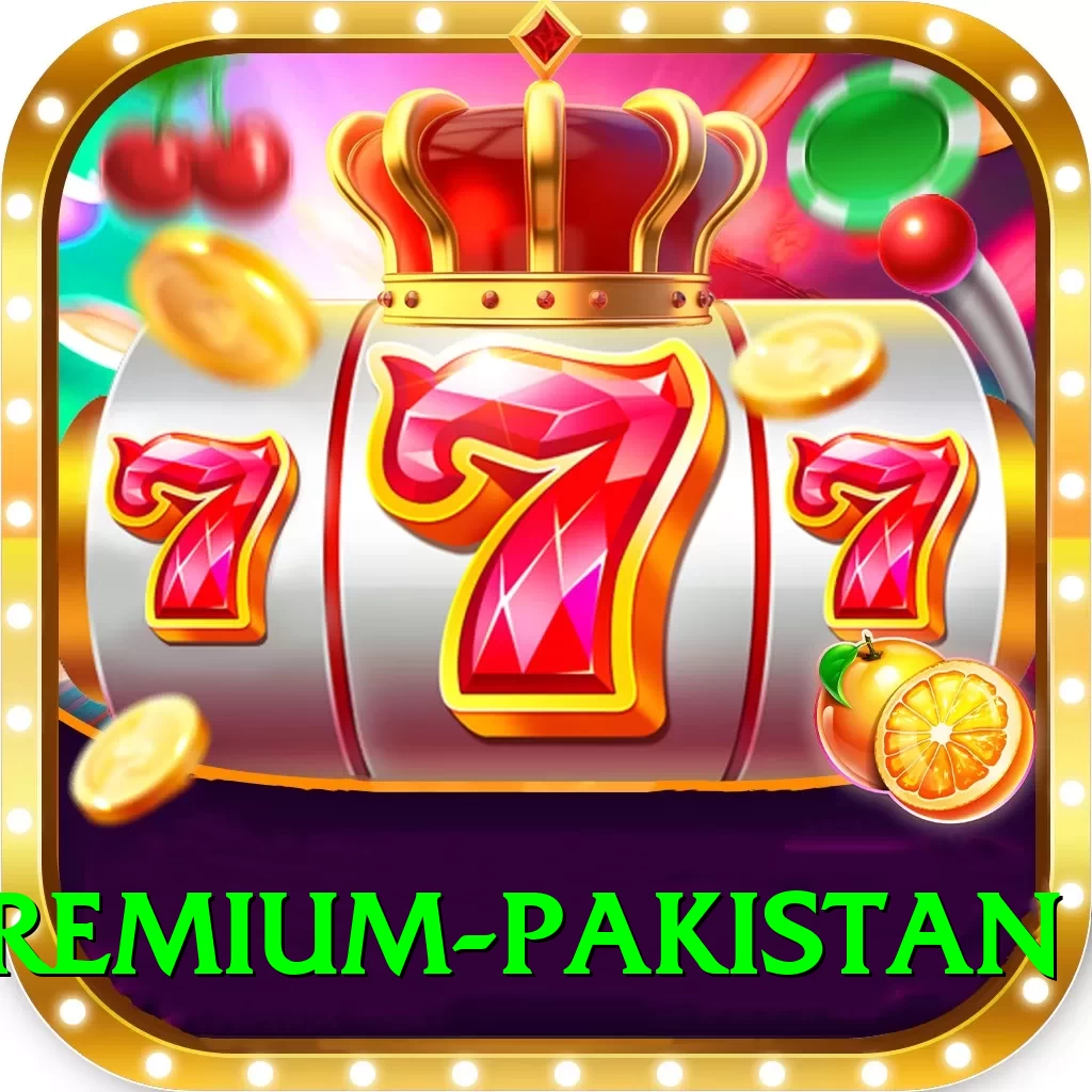 Nine Casino PK Premium Pakistan - 2