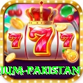 Nine Casino PK Premium Pakistan